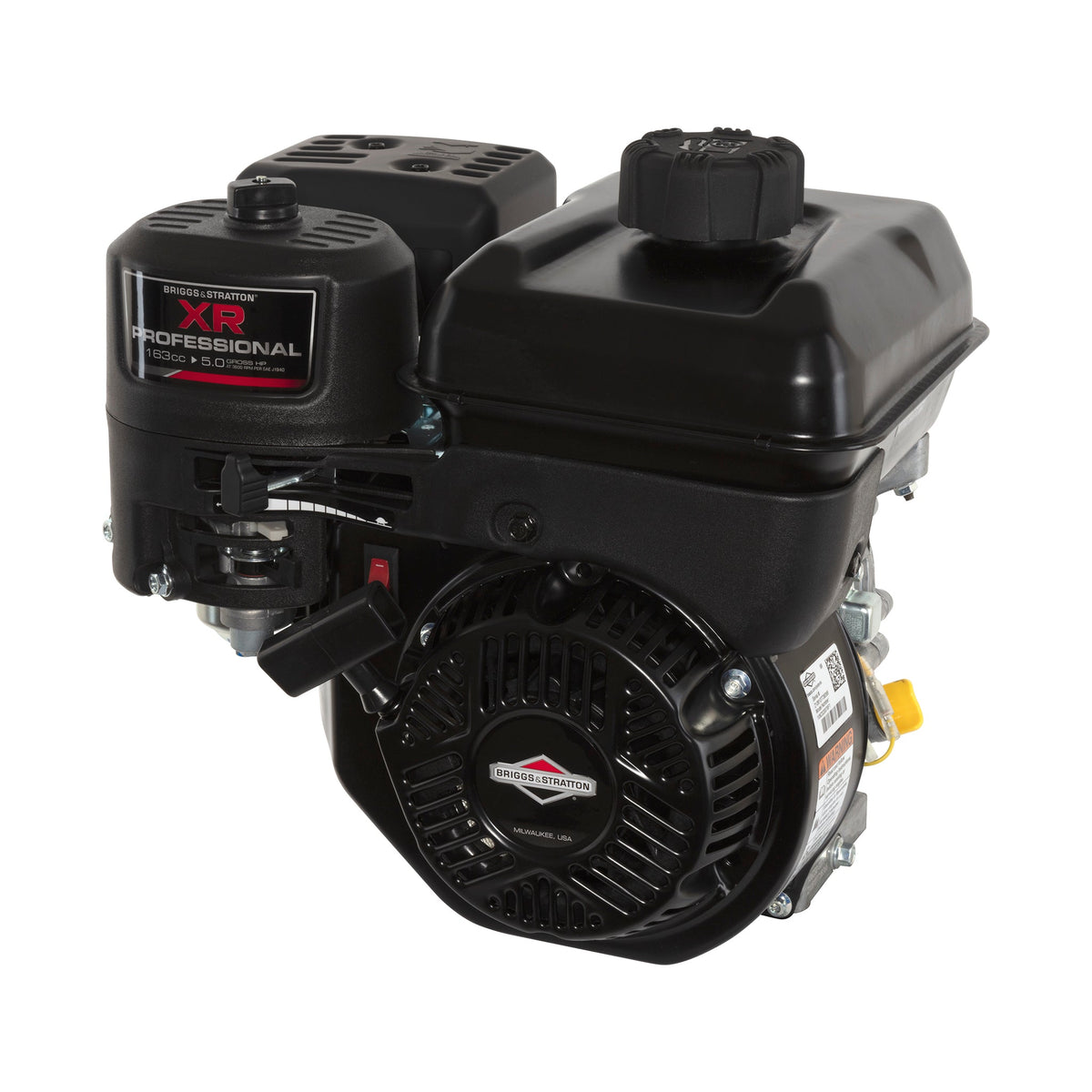 Briggs & Stratton 106232-0079-F1 XR Series 5 HP 163cc Horizontal Shaft Engine