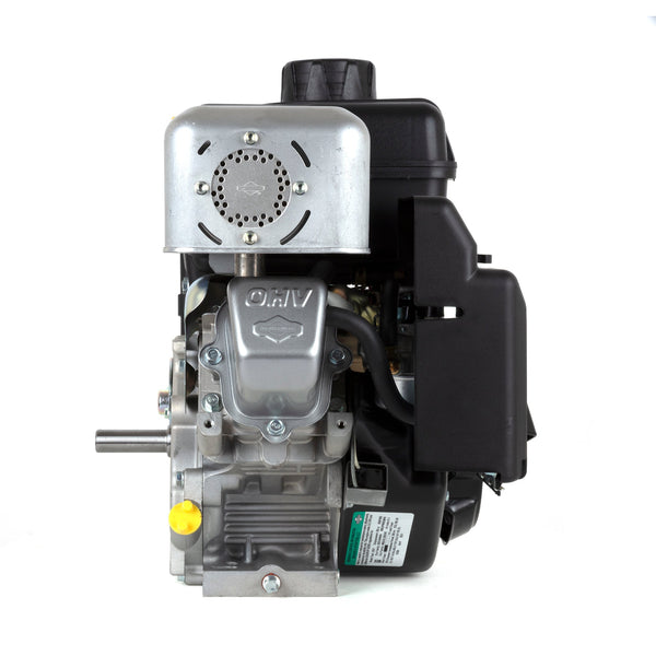 Briggs & Stratton 15T237-0050-F8 Professional Series 11.5 GT 250cc Horizontal Shaft Engine