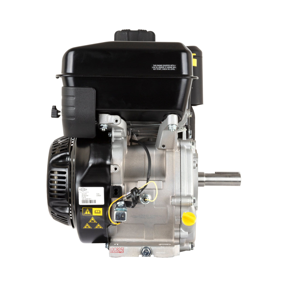 Briggs & Stratton 19N132-0019-F1 XR Series 10 HP 306cc Horizontal Shaft Engine