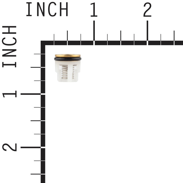 Briggs & Stratton 204082GS Check Valve Kit