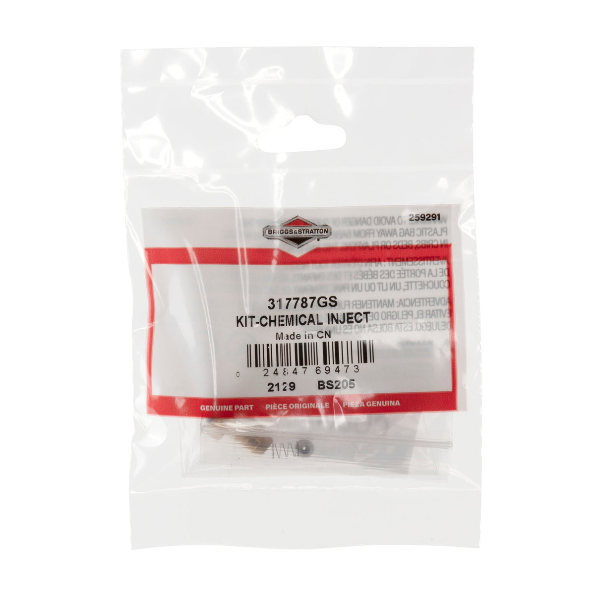 Briggs & Stratton 317787GS Chemical Inject Kit