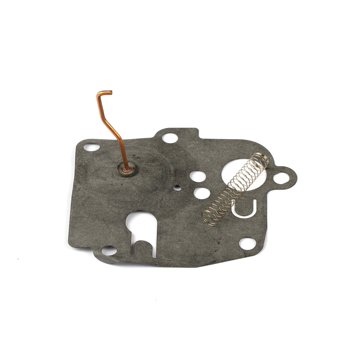 Briggs & Stratton 391681 Kit-PUMP/CHOKE DIA