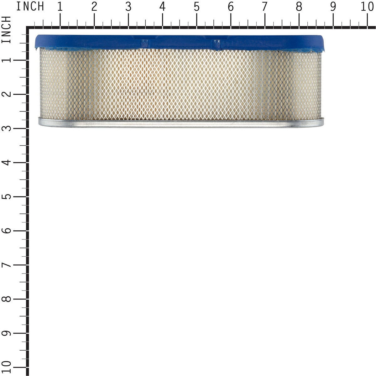 Briggs & Stratton 399806S Air Cleaner Cartridge Filter