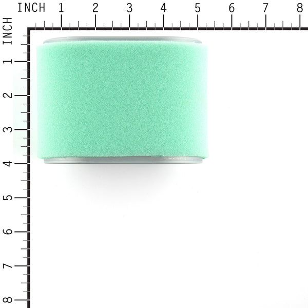 Briggs & Stratton 591338 Air Cleaner Cartridge Filter