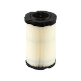 Briggs & Stratton 4243 Air Filter  (5 x 594201)
