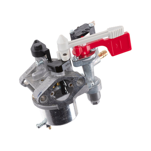 Briggs & Stratton 595318 Carburetor