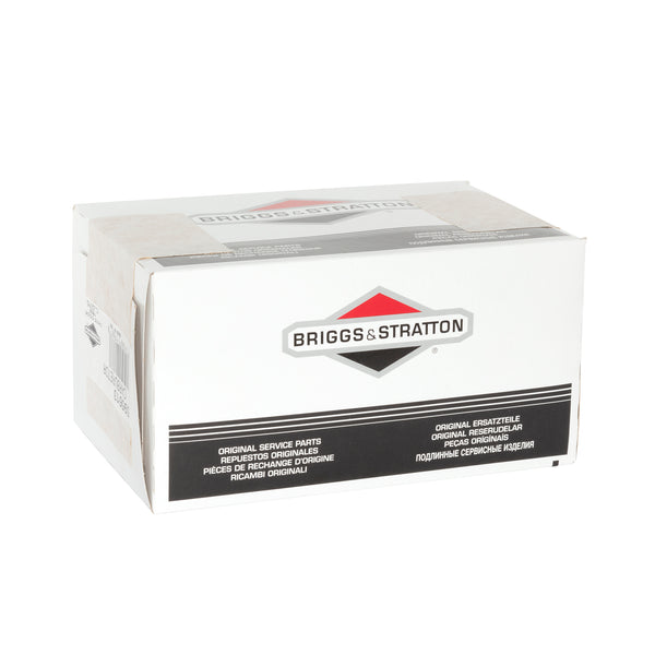 Briggs & Stratton 595613 Carburetor