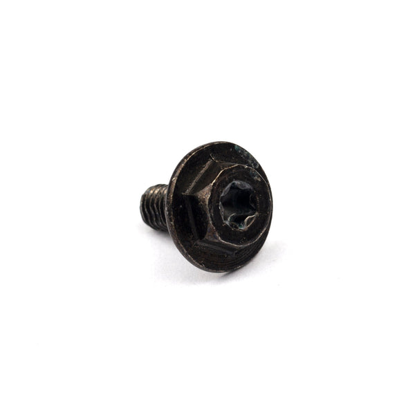 Briggs & Stratton 699854 Screw