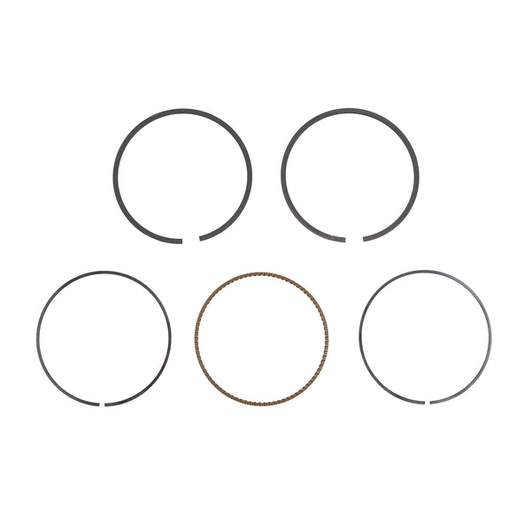 Briggs & Stratton 791787 Ring Set