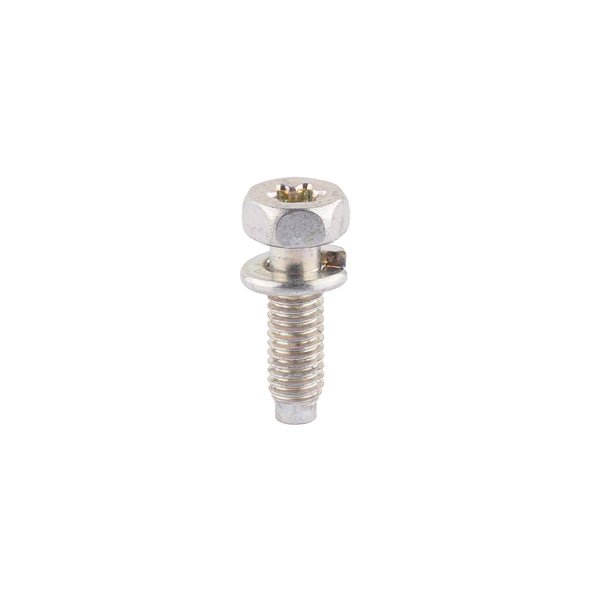 Briggs & Stratton 791972 Screw