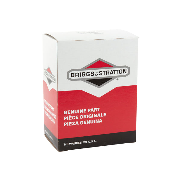 Briggs & Stratton 4245 A/C - Filter (5 x 792038)