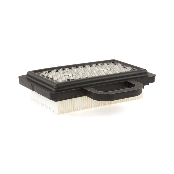 Briggs & Stratton 792101 Air Cleaner Cartridge Filter