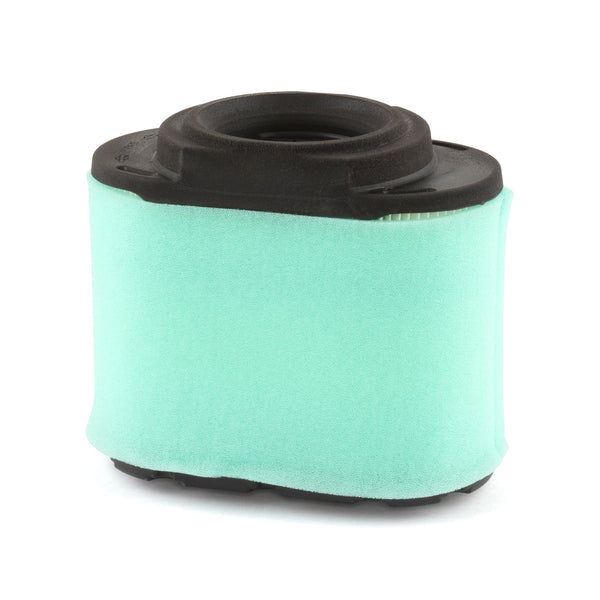 Briggs & Stratton 5405K Air Filter With Pre Clean