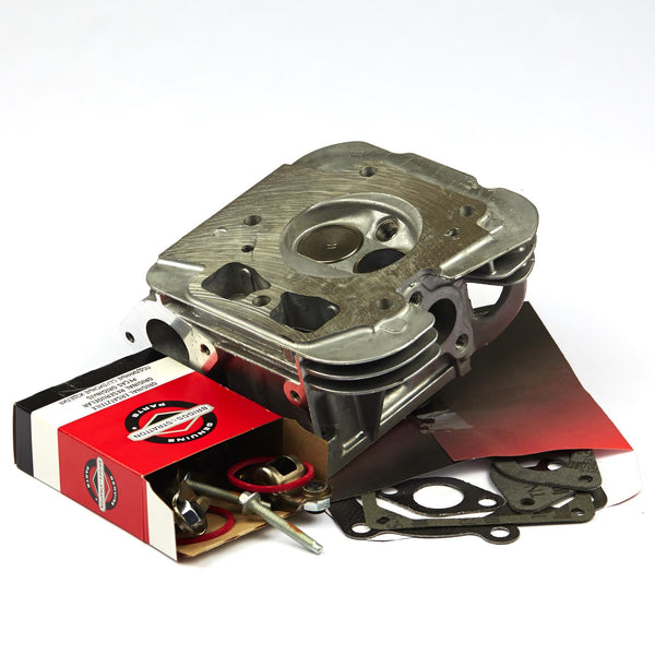 Briggs & Stratton 84001918 Cylinder Head - Cylinder #1