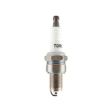 Briggs & Stratton 798615 Spark Plug