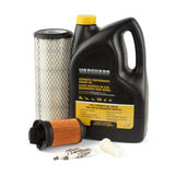 Briggs & Stratton 84002318 Maintenance Kit