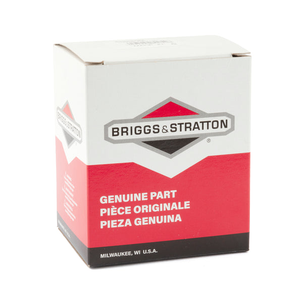 Briggs & Stratton 84006242 Carburetor