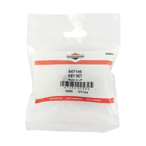 Briggs & Stratton 847146 Key Set