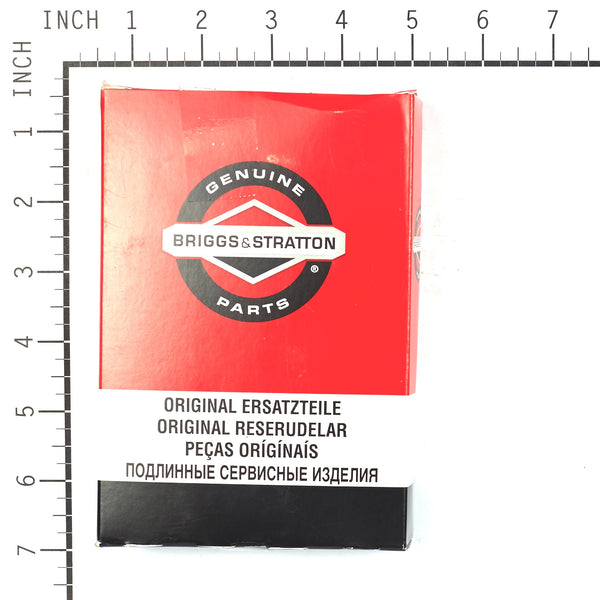 Briggs & Stratton 1687101SM Skid Shoe Kit