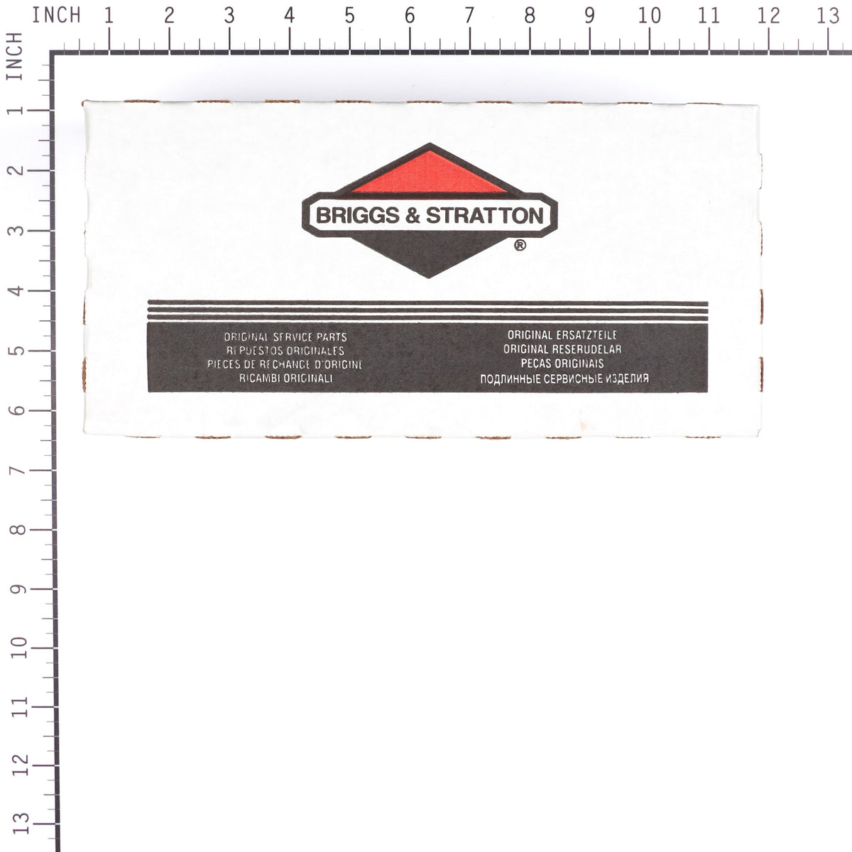 Briggs & Stratton 1724966SM PANEL-INSTRUMENT LIQ