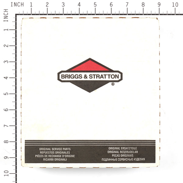 Briggs & Stratton 1725747BMYP Skid Shoe