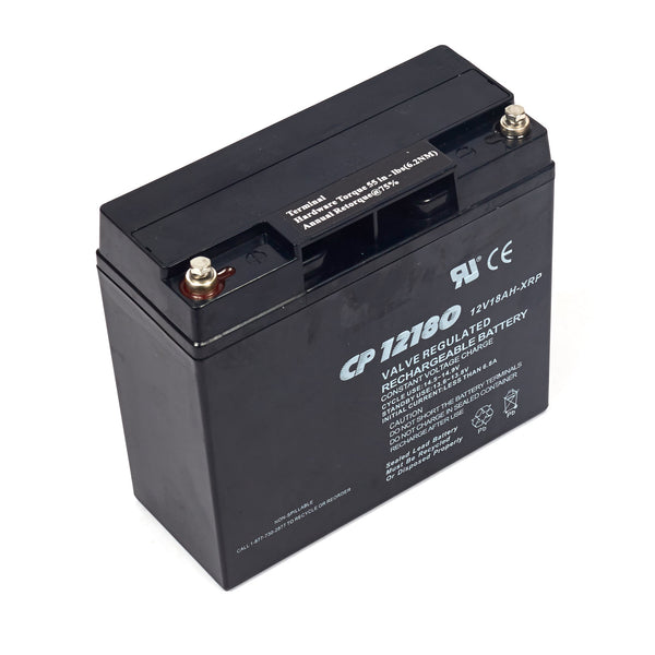 Briggs & Stratton 193463GS Battery