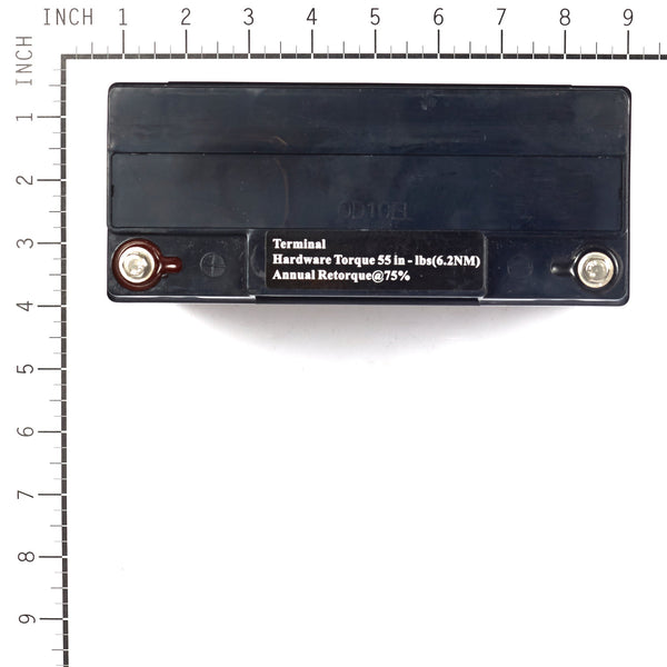 Briggs & Stratton 193463GS Battery