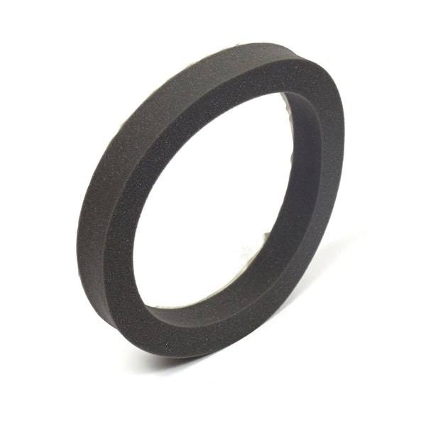 Briggs & Stratton 199629GS Foam Seal