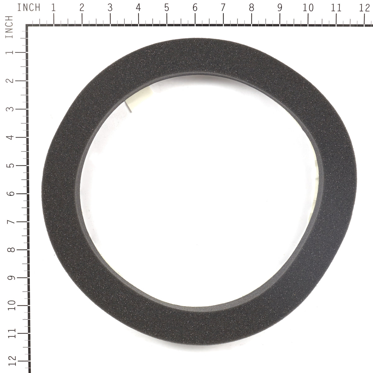 Briggs & Stratton 199629GS Foam Seal