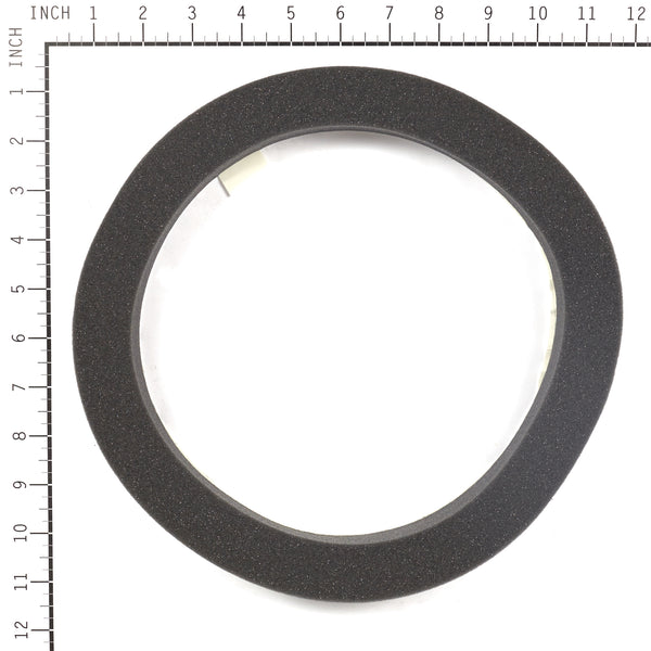 Briggs & Stratton 199629GS Foam Seal