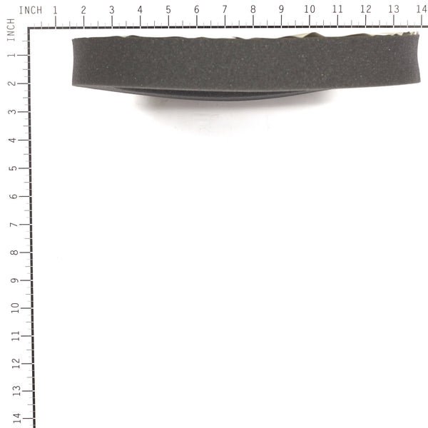 Briggs & Stratton 199629GS Foam Seal