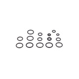 Briggs & Stratton 200346GS O-Ring Kit
