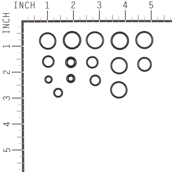 Briggs & Stratton 200346GS O-Ring Kit