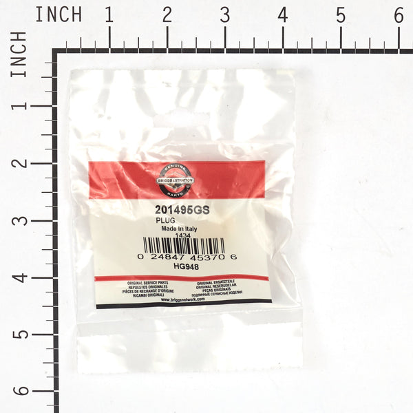 Briggs & Stratton 201495GS Plug