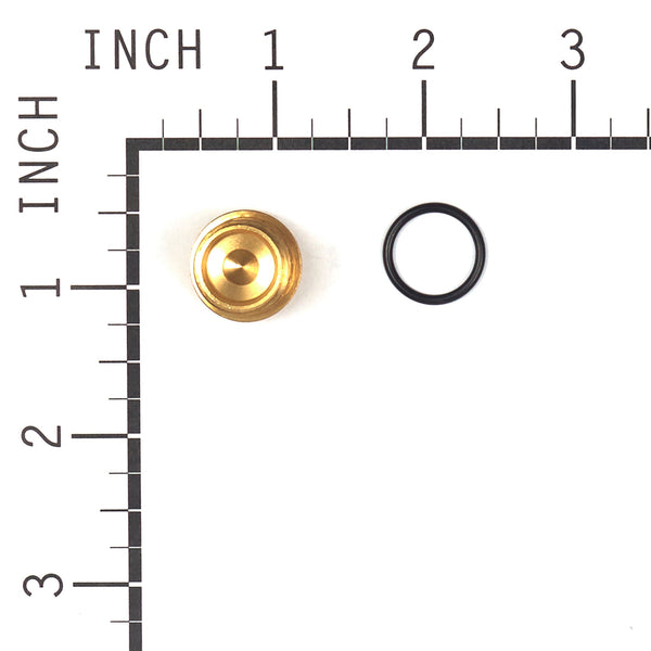 Briggs & Stratton 201495GS Plug