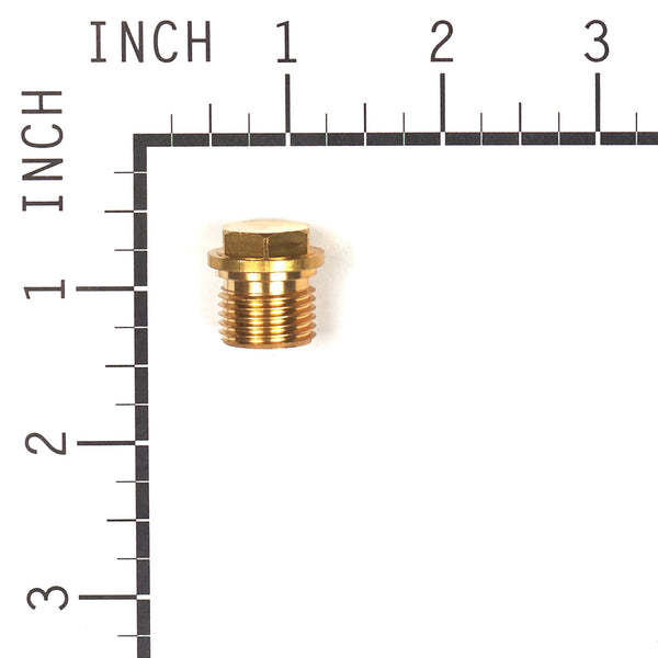 Briggs & Stratton 201495GS Plug