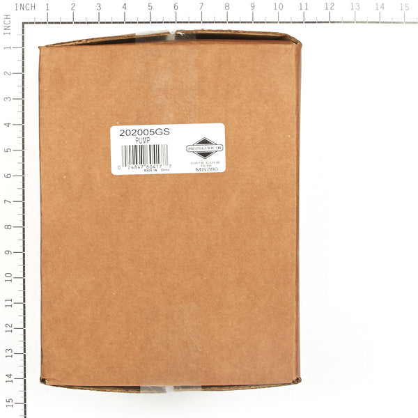 Briggs & Stratton 202005GS Pump