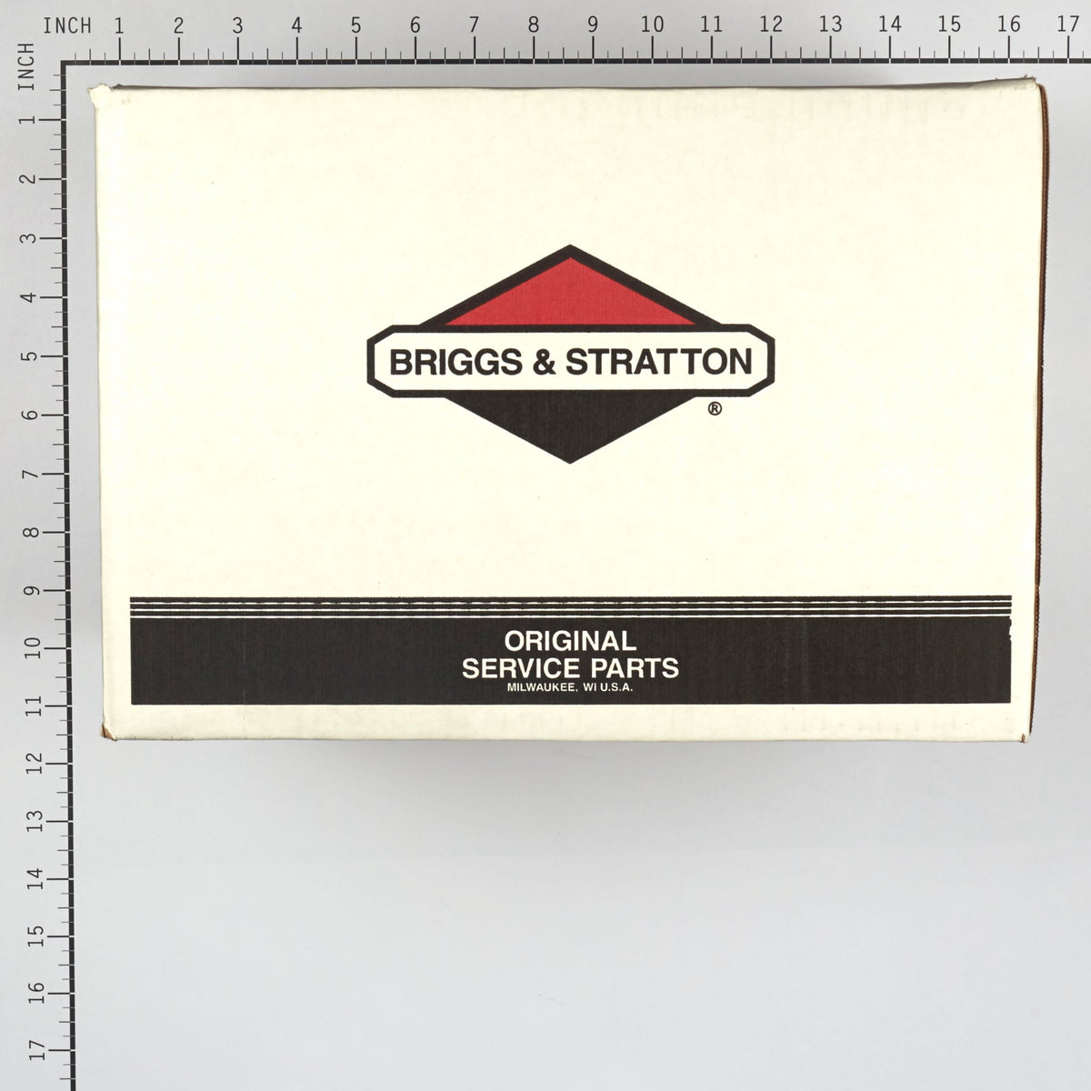 Briggs & Stratton 206376GS Pump