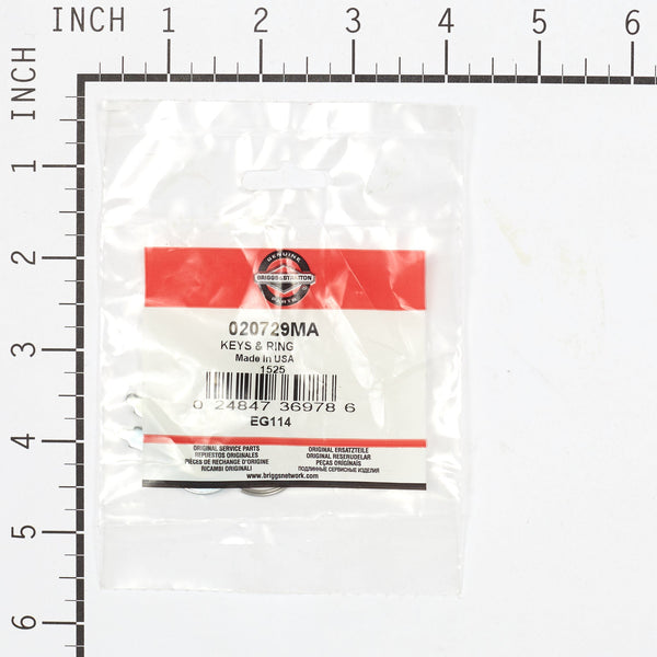 Briggs & Stratton 020729MA KEYS & RING
