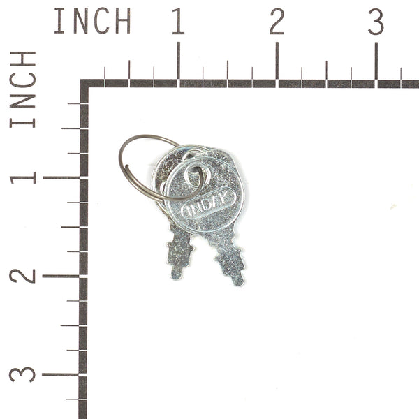 Briggs & Stratton 020729MA KEYS & RING