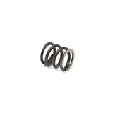 Briggs & Stratton 26826 Valve Spring