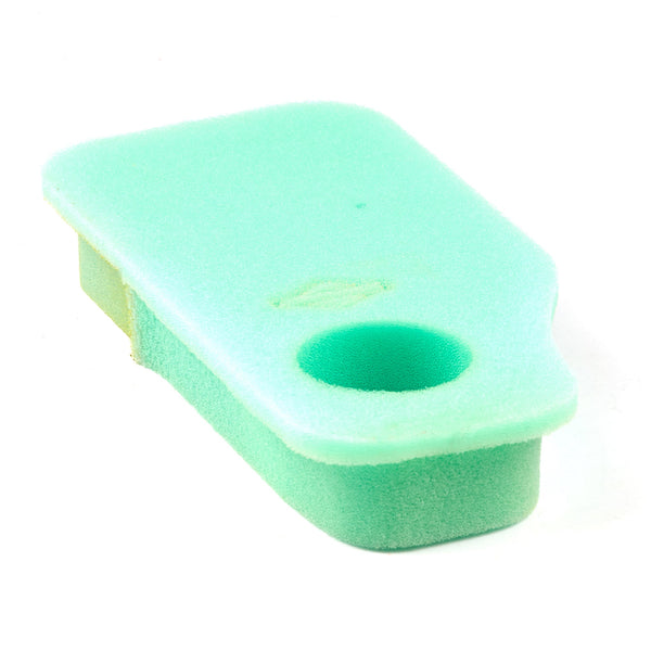 Briggs & Stratton 4134 FOAM-FILTER (4 X 270843S)