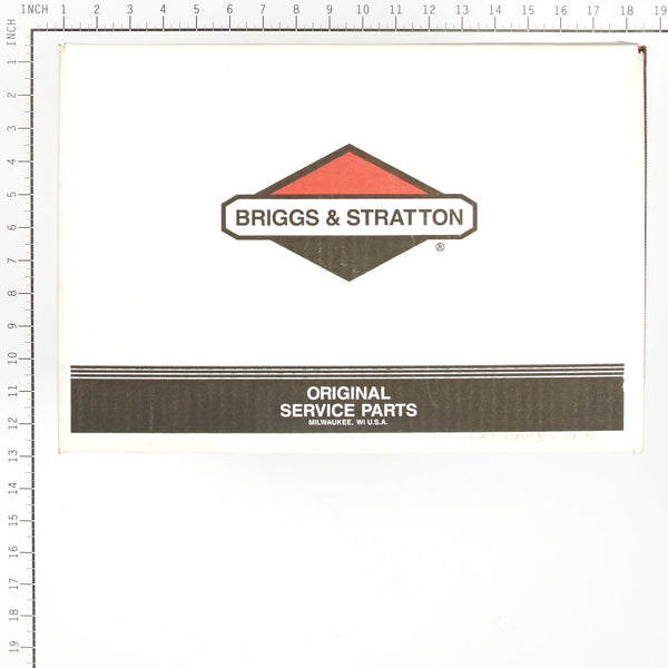 Briggs & Stratton 317055GS Pump