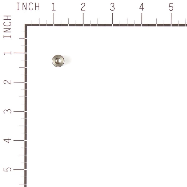 Briggs & Stratton 317897GS Check Valve Kit