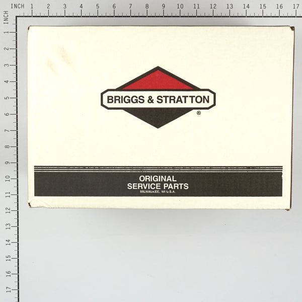 Briggs & Stratton 317991GS Pump