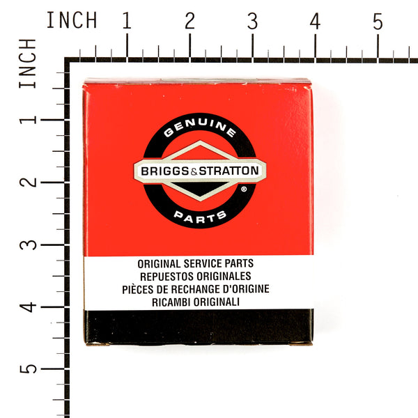 Briggs & Stratton 394698 Carburetor Overhaul Kit