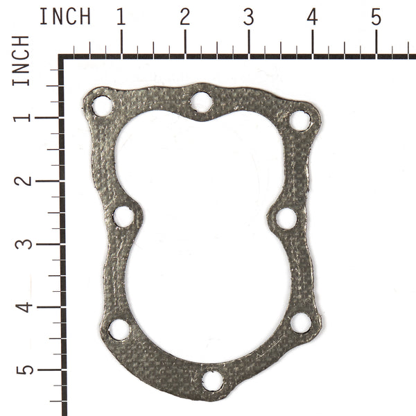 Briggs & Stratton 4120 Gasket (5 x 272157S)