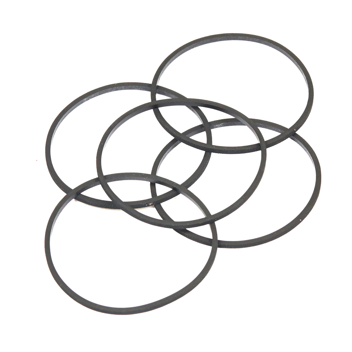 Briggs & Stratton 4202 Gasket (5 x 281165S)