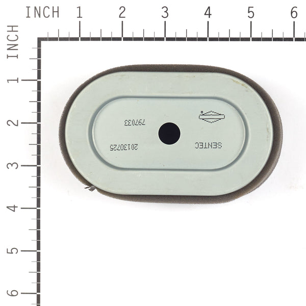 Briggs & Stratton 4239 P/C-FILTER (5 X 797033)