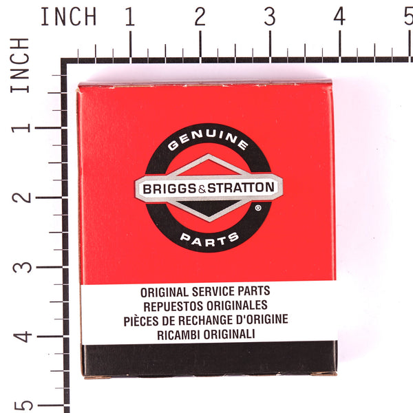 Briggs & Stratton 494349 Carburetor Overhaul Kit